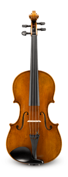 acoustic viola