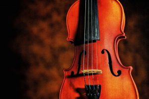 Read more about the article Best Viola for Beginners: A Comprehensive Guide