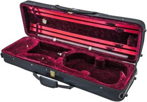 Read more about the article Best Violin Cases