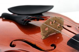Read more about the article Best Violin Chinrest