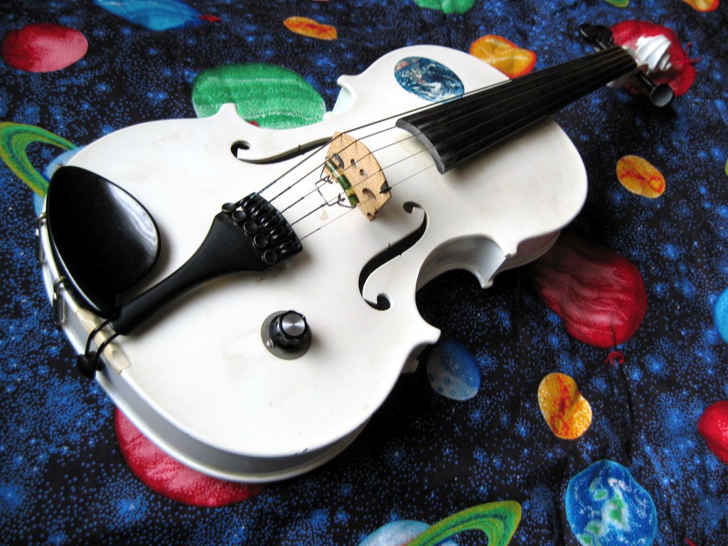 You are currently viewing 5 String Electric Violin!