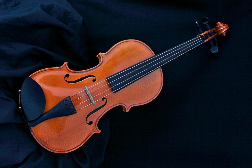 best intermediate viola