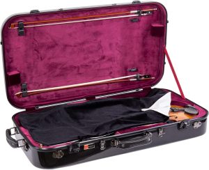 Read more about the article Best Viola Cases to Protect Your Viola