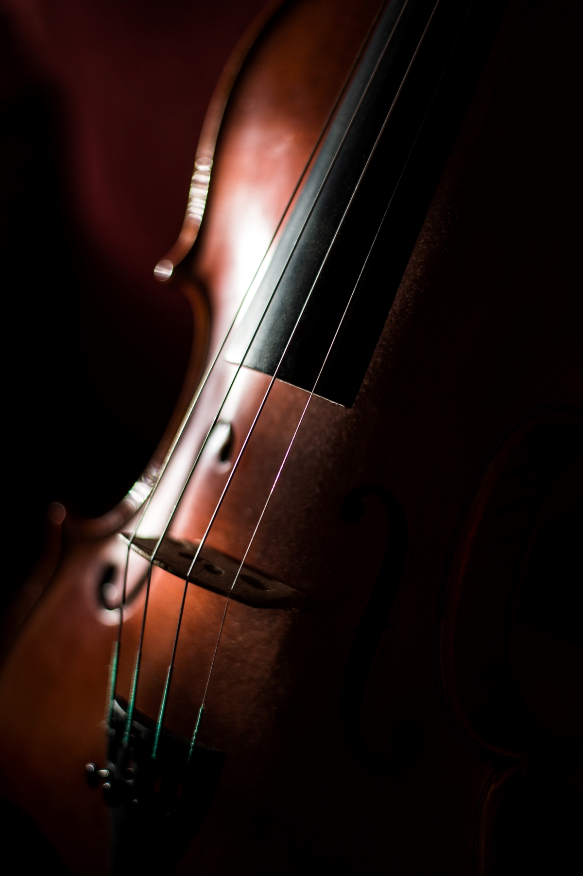 You are currently viewing Best Viola Strings for Your Instrument