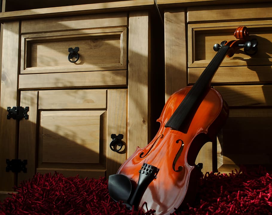 Read more about the article Best Violin Brands and Buying Guide