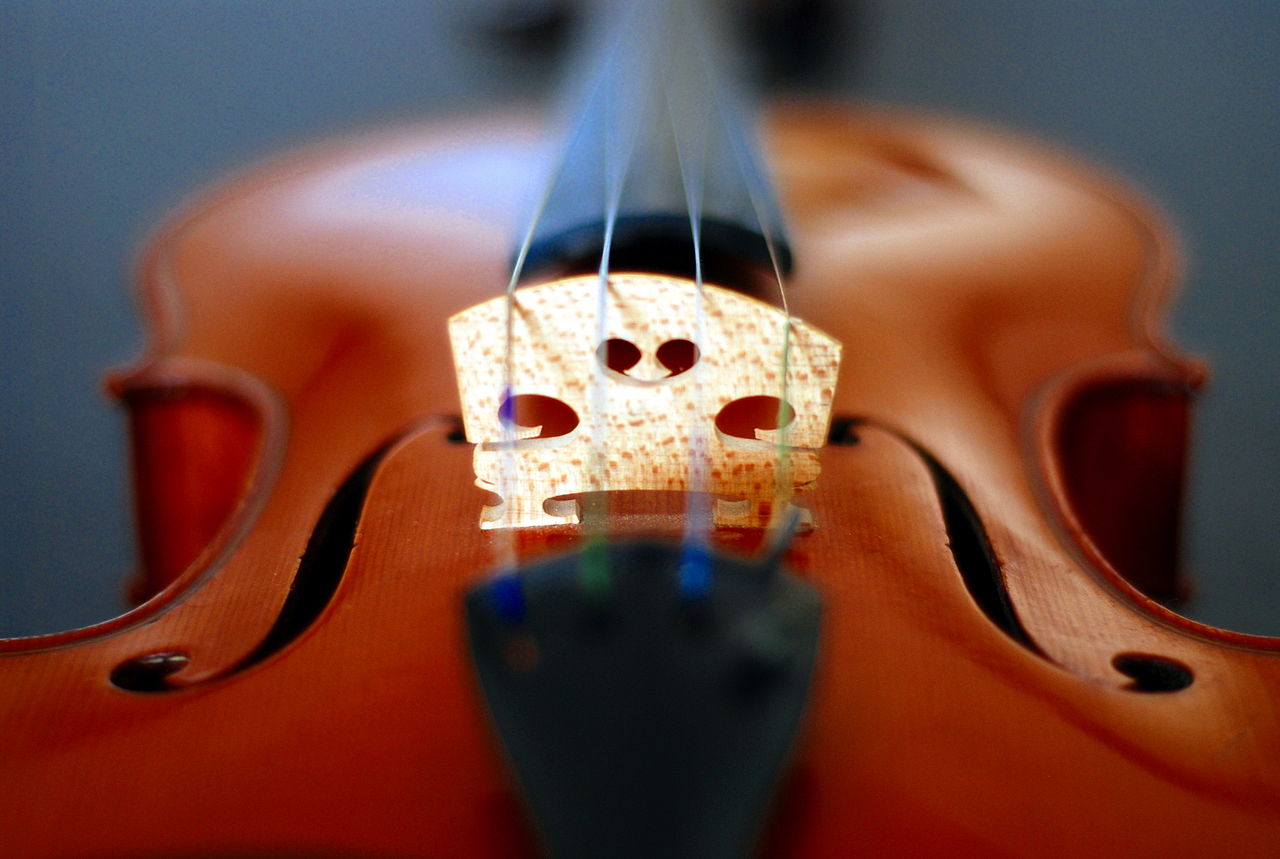 You are currently viewing Best Violin Bridge for The Best Sound
