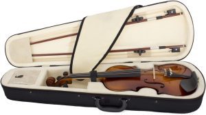 Read more about the article Cecilio CVN-300: The Beginner-Friendly Violin