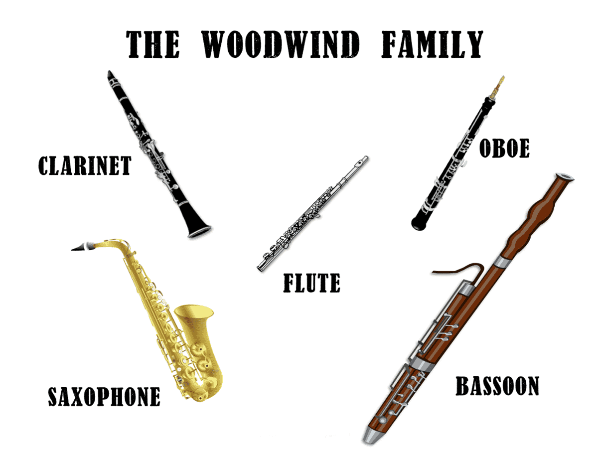 Read more about the article Orchestra Woodwind Instruments