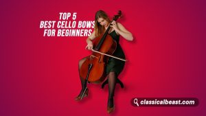 Read more about the article Top 5 Best Cello Bows for Beginners – A Comprehensive Guide